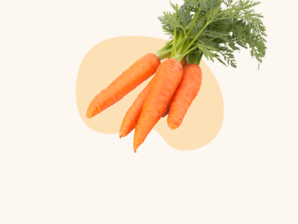 Fresh Vegetables