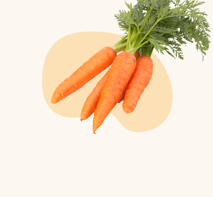 Fresh Vegetables